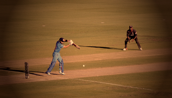 IPL Cricket Live Wagering